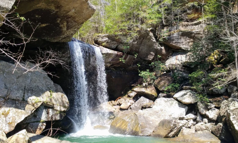 Eagle Falls: A Cascading Symphony in the Heart of the Wilderness Eagle Falls