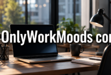 OnlyWorkMoods com